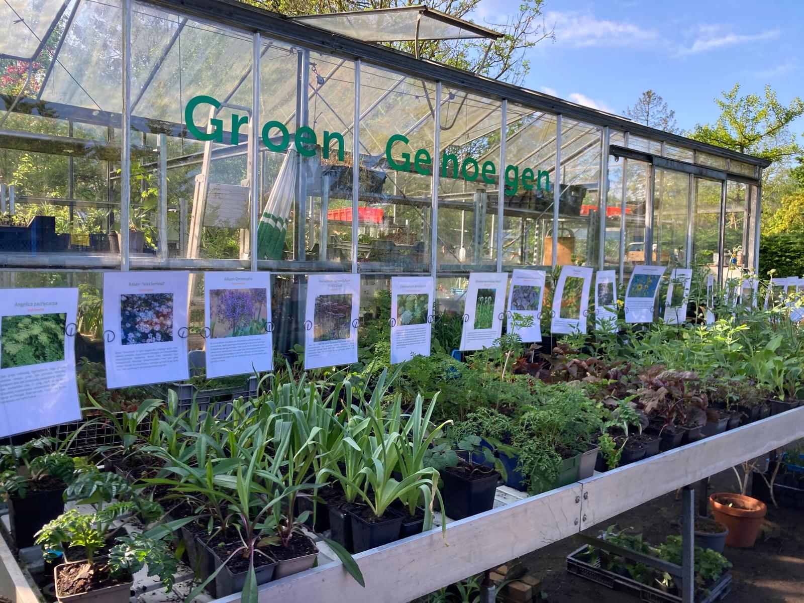 Kwekerij Groen Genoegen